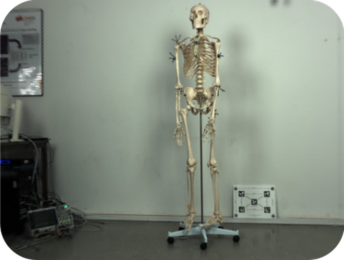 LiFMCR: Dataset and Benchmark for Light Field Multi-Camera Registration