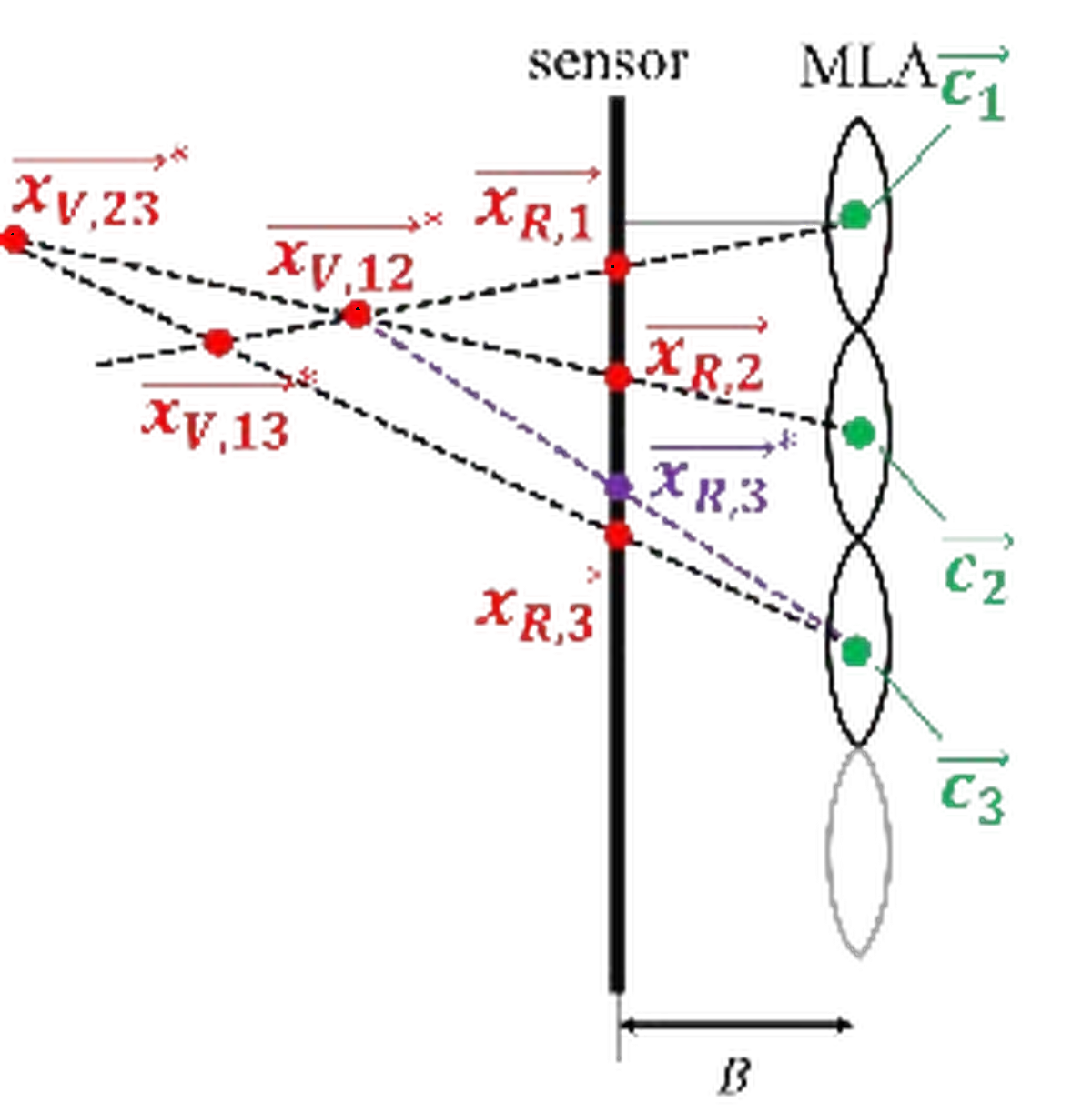 Depth Estimation from Micro Images of a Plenoptic Camera