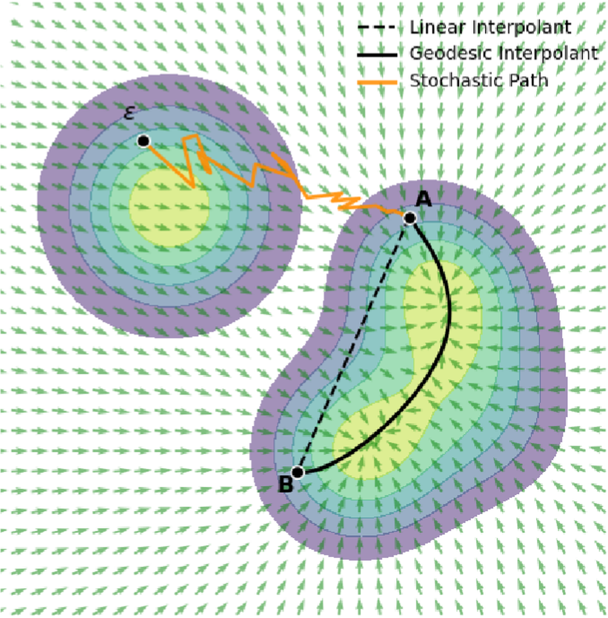 GeodesicNVS: Probability Density Geodesic Flow Matching for Novel View Synthesis
