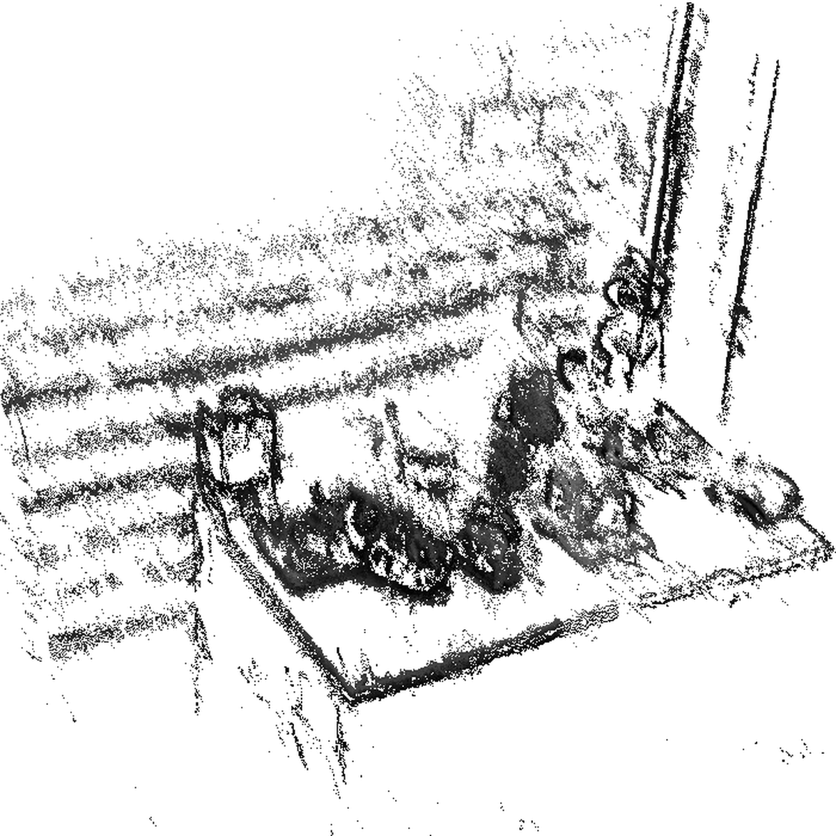 Narrow Field-Of-View Visual Odometry Based on a Focused Plenoptic Camera