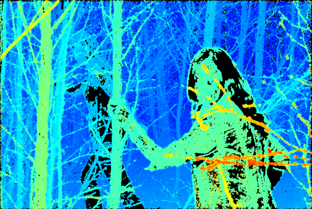 Direct Plenoptic Odometry - Robust Tracking and Mapping with a Light Field Camera