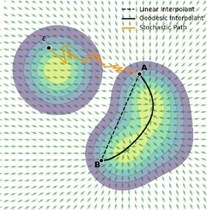GeodesicNVS: Probability Density Geodesic Flow Matching for Novel View Synthesis