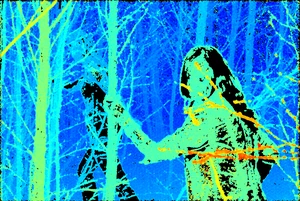 Direct Plenoptic Odometry - Robust Tracking and Mapping with a Light Field Camera